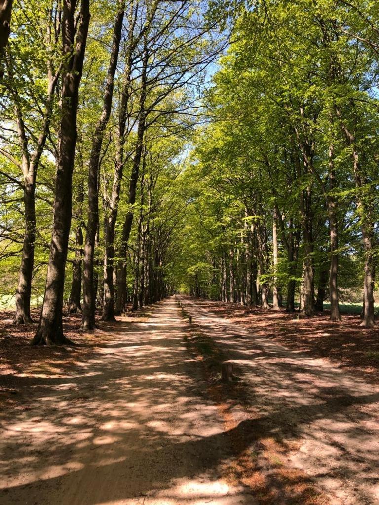 Hotel Van Der Maas Ootmarsum Luaran gambar